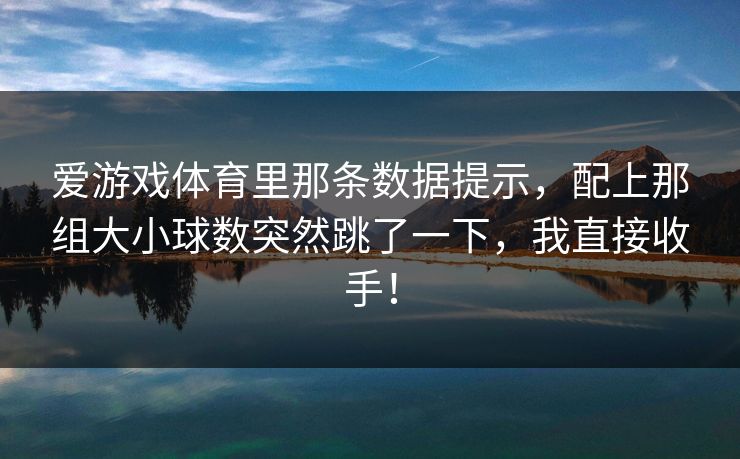 爱游戏体育里那条数据提示，配上那组大小球数突然跳了一下，我直接收手！