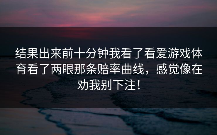 结果出来前十分钟我看了看爱游戏体育看了两眼那条赔率曲线，感觉像在劝我别下注！
