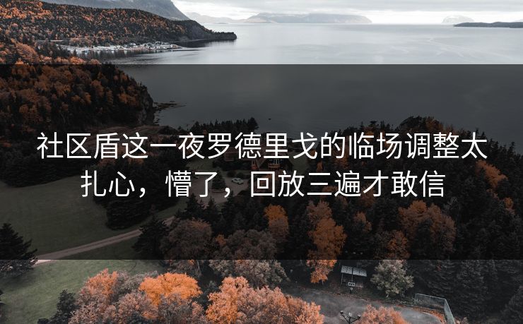 社区盾这一夜罗德里戈的临场调整太扎心，懵了，回放三遍才敢信