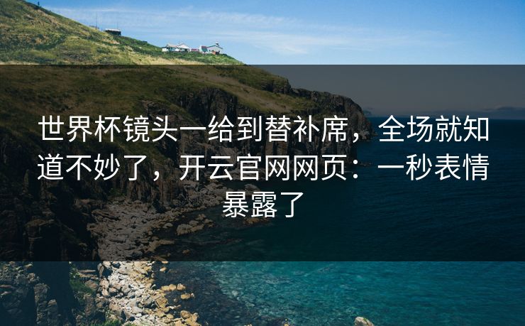 世界杯镜头一给到替补席，全场就知道不妙了，开云官网网页：一秒表情暴露了